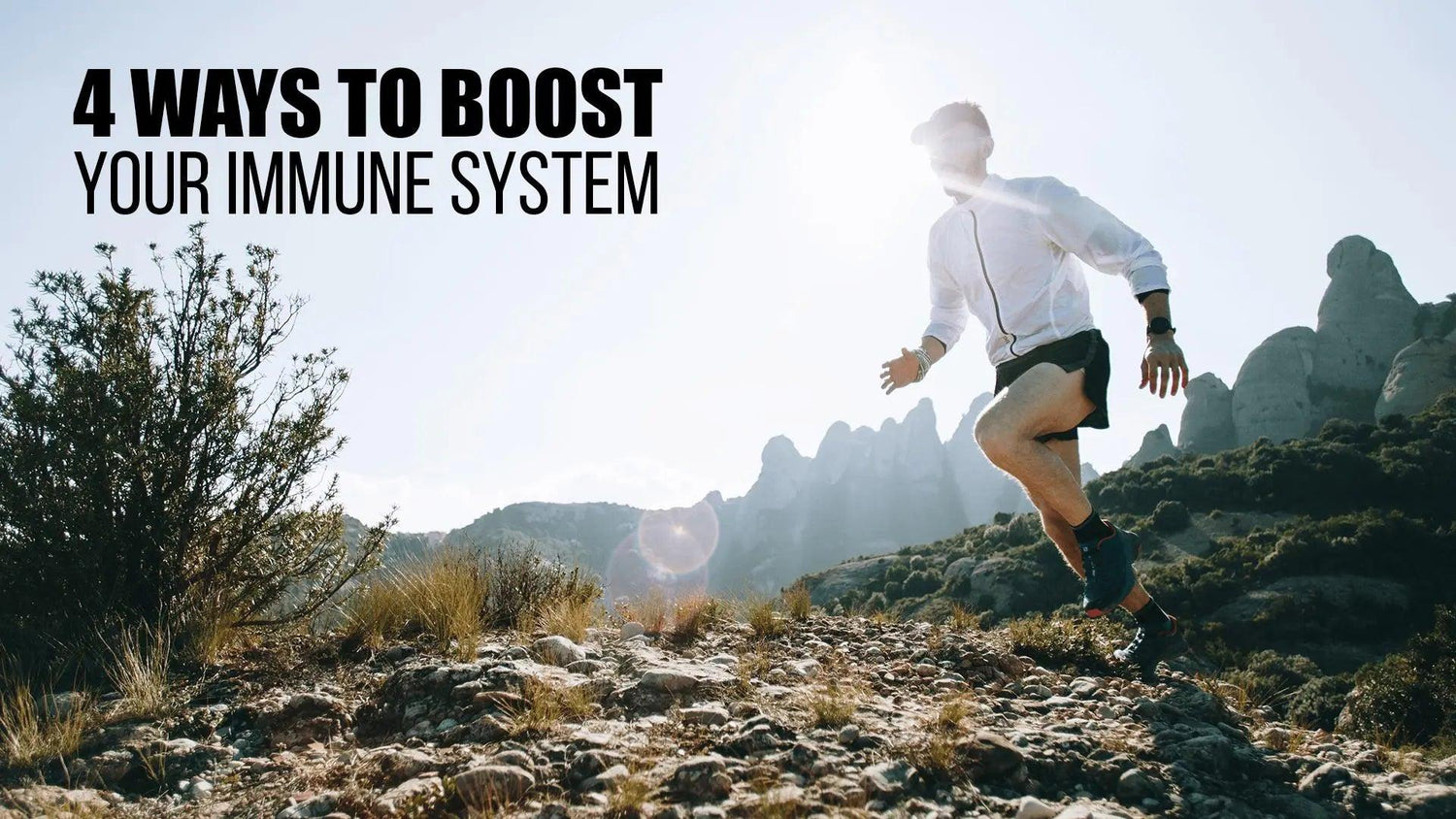 4 ways to boost immune system - UXO Supplements