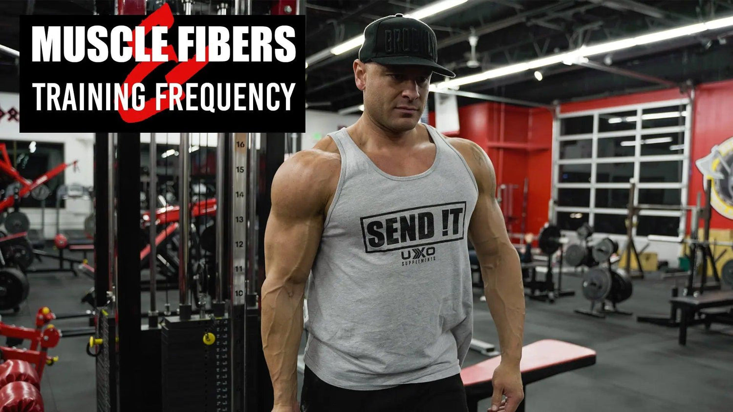 Muscle-Fibers-Training-Frequency UXO Supplements