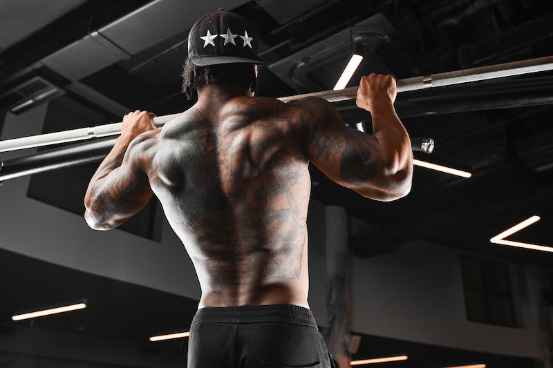 Comprehensive Guide to the Ultimate Pull Day Workout Routine